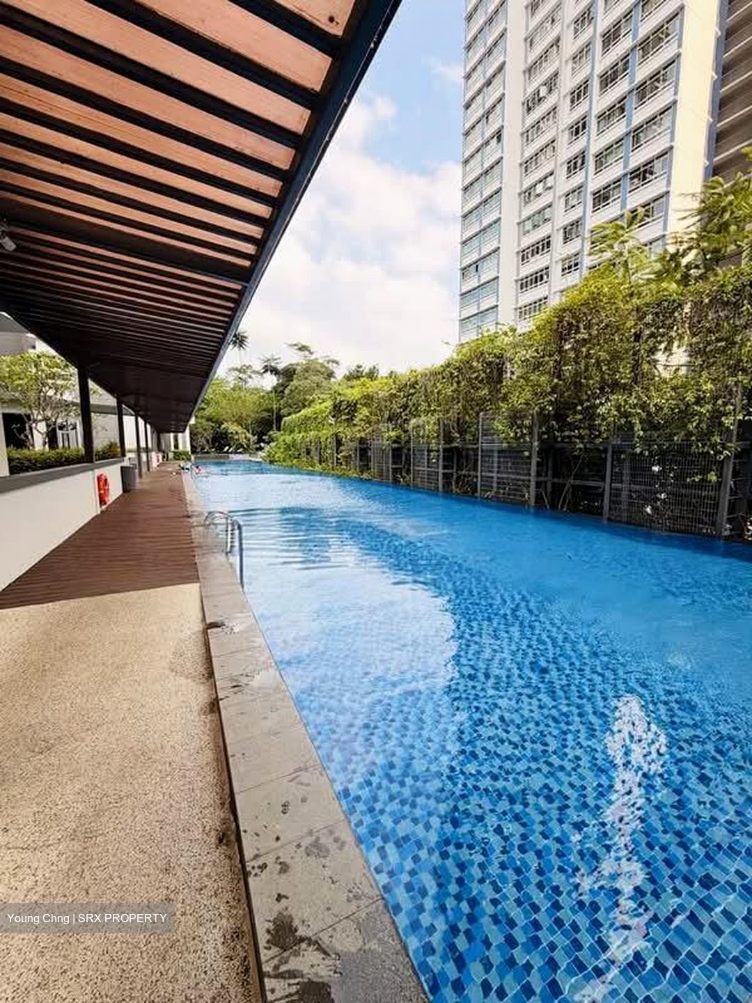 The Regency At Tiong Bahru (D3), Condominium #603511281